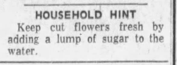 Tip: Keep cut flowers fresh (1959)