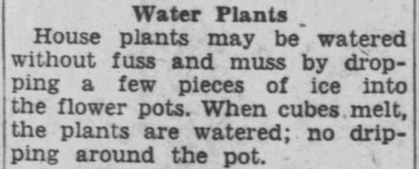 Tip: Water plants with ice cubes (1956)