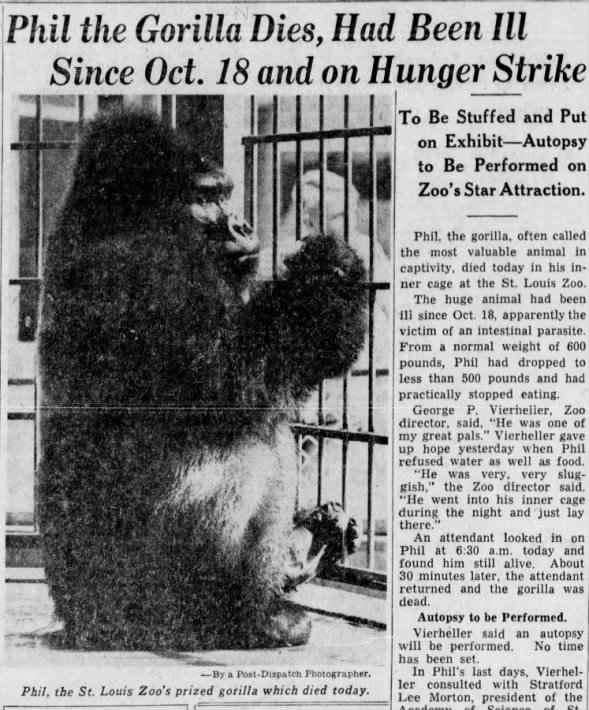 Dec. 1, 1958: Phil the Gorilla dies after a hunger strike