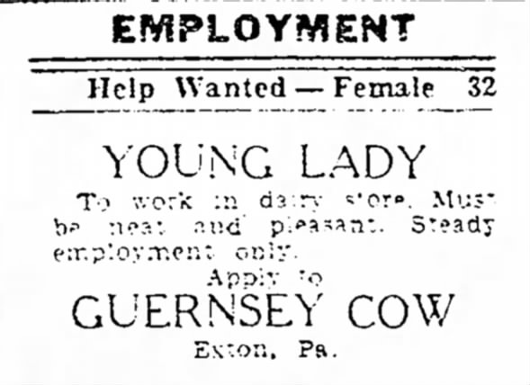 Help Wanted The Guernsey Cow