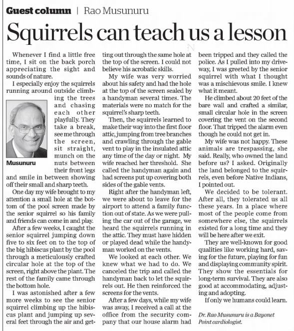 Squirrels can teach us a lesson