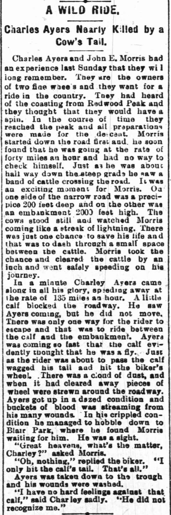 A WILD RIDE
Charles Ayers Nearly Killed by a Cow's Tail.
TO BLOG.