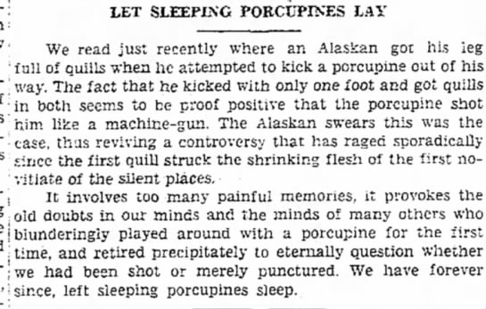 Let Sleeping Porcupines Lay - 