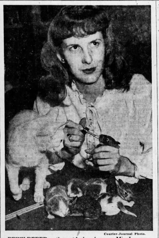 1946: Cat adopts 3 baby rabbits - 