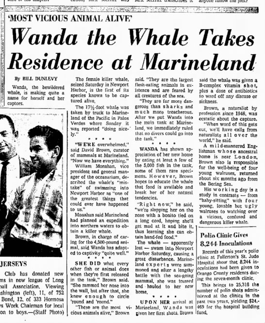 Wanda the Whale Takes Residence at Marineland - 