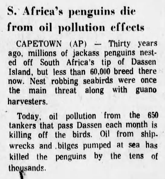 South Africa's penguins die from oil pollution effects (1975) - 