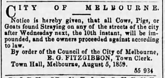 Livestock not allowed in the streets; Australia 1859 - 