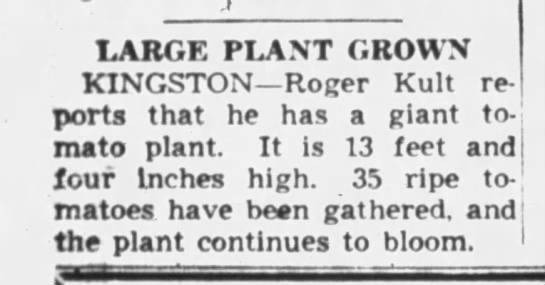 Daily Chronicle, 27 Sep 1954, p. 3 - 
