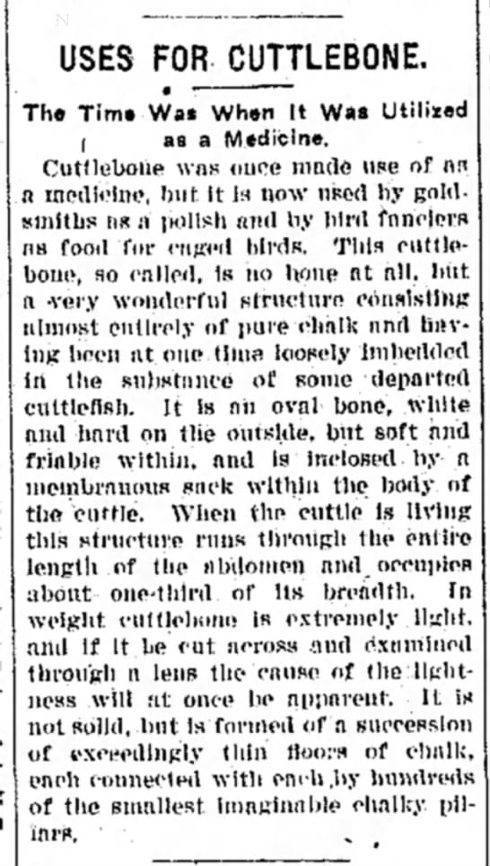 Uses for cuttlebone. The time when it was used as a medicine (1912) - 
