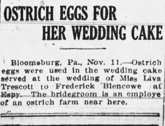 Ostrich eggs in wedding cake - 
