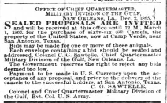 Government puts the camels up for sale (1866) - 