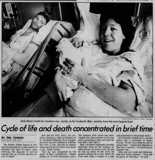 Cycle of life and death concentrated in brief time - Ebbens - 