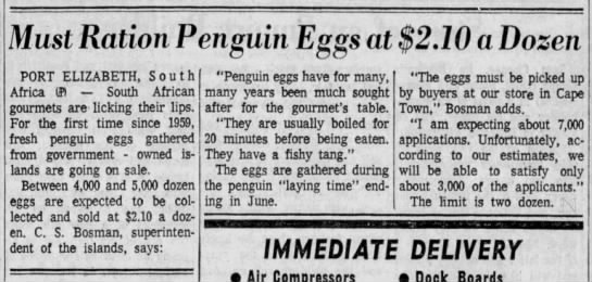 Must Ration Penguin Eggs at $2.10 a Dozen (1965) - 