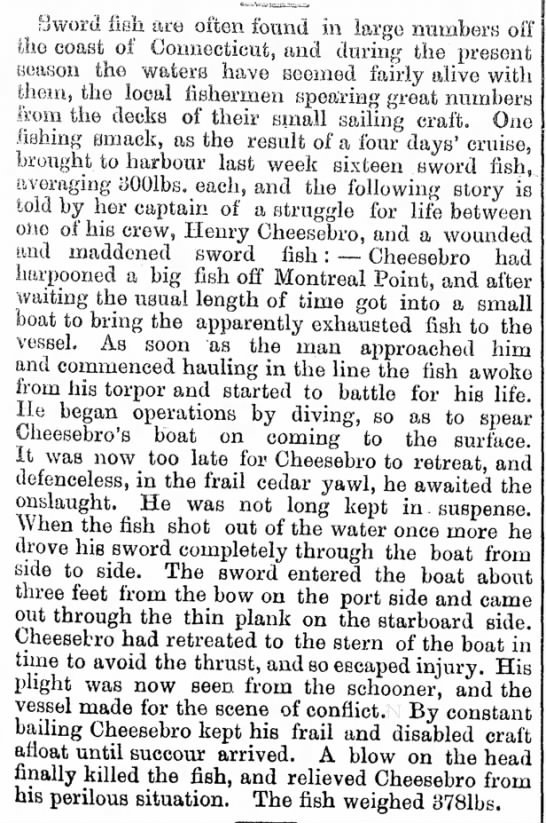 Henry Cheesebro and the 378-pound swordfish. - 