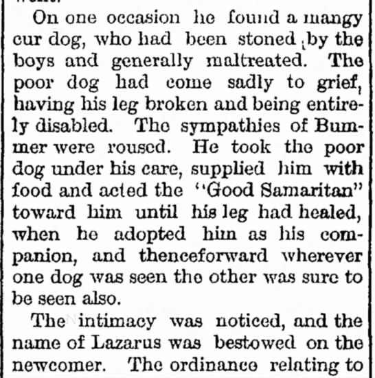 Bummer heals Lazarus - 