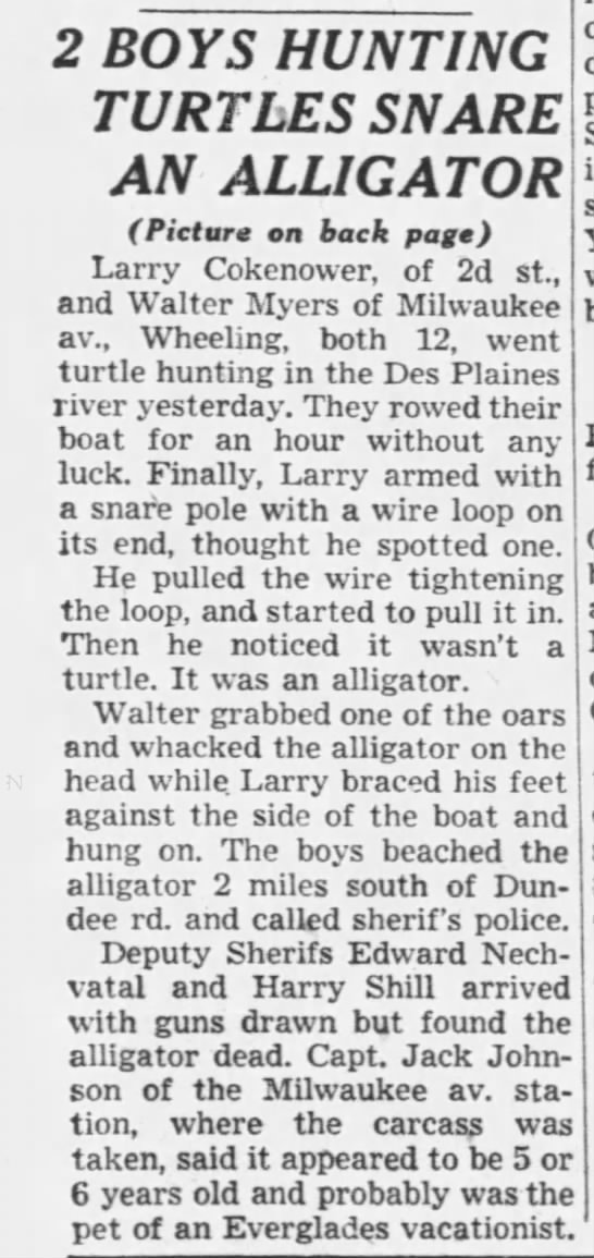 2 BOYS HUNTING TURTLES SNARE AN ALLIGATOR, Chicago Tribune, June 17, 1953, p. 18. - 