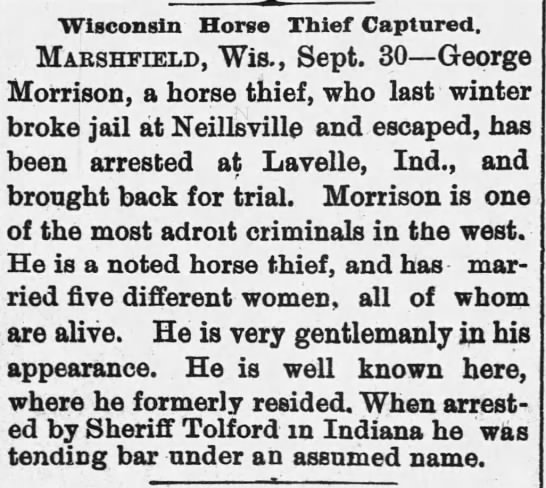 Wisconsin Horse Thief - 