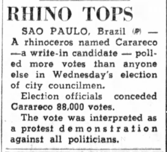 Rhino Carareco elected to city council - 