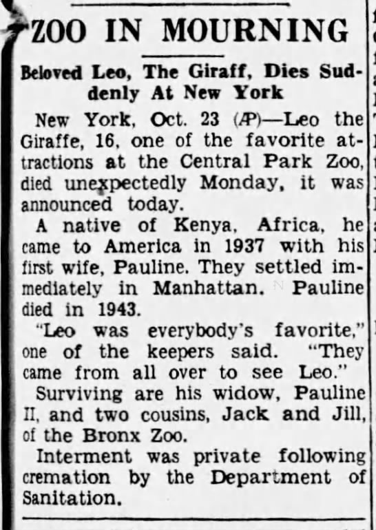 1946 obituary for Leo the Giraffe, "one of the favorite attractions at the Central Park Zoo" - 