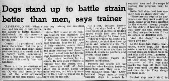Dogs stand up to battle strain better than men, says trainer - 