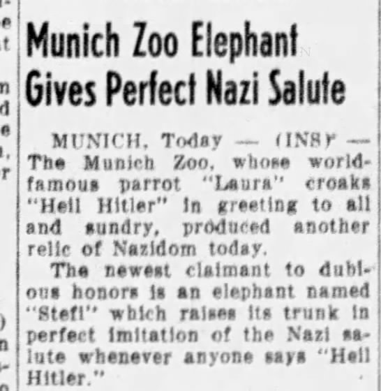 Munich Zoo elephant salutes - 