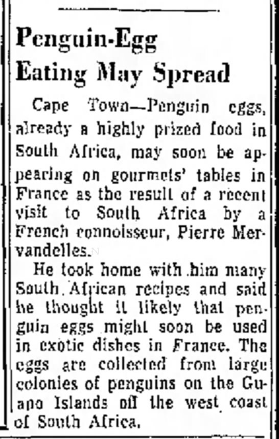 Penguin-egg eating may spread (1959) - 