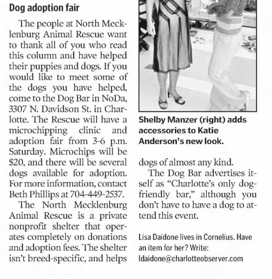 Dog Adoption Fair - 