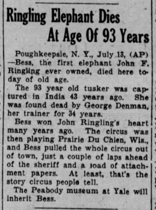 1930 obituary for Bess, the "first elephant John F. Ringling ever owned" - 
