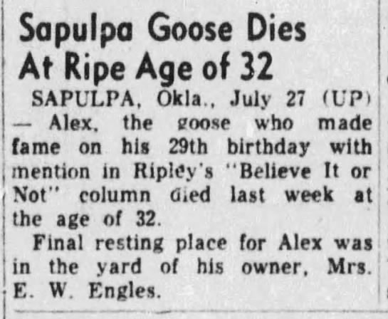 1957 obituary for Alex, a goose "who made fame [...] with mention in Ripley's 'Believe It or Not'" - 