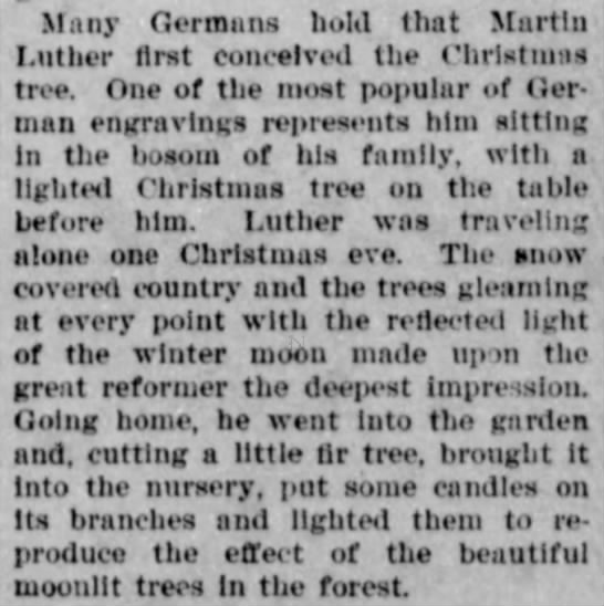 Lights in the tree like stars in the forest, Martin Luther legend - 