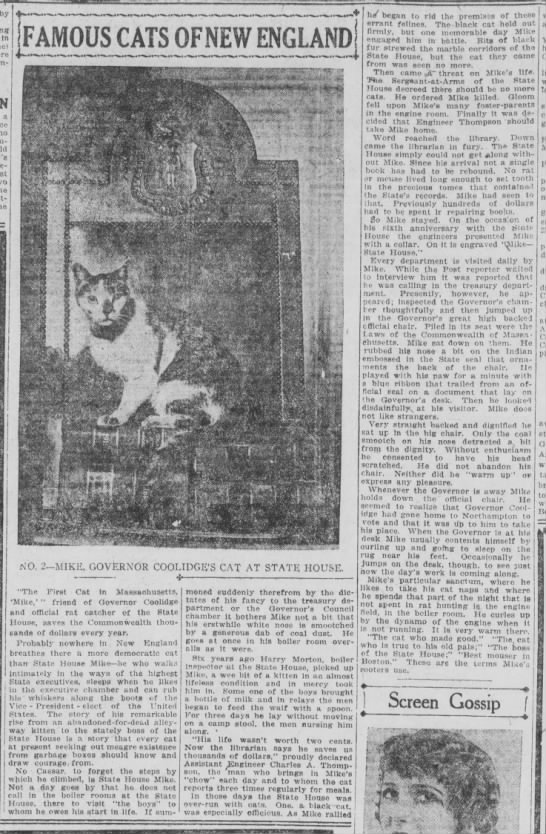 Famous Cats of New England: No. 2 - Mike, Governor Coolidge's Cat at State House - 