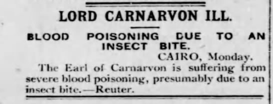 Insect causes infection for Lord Carnarvon  - 