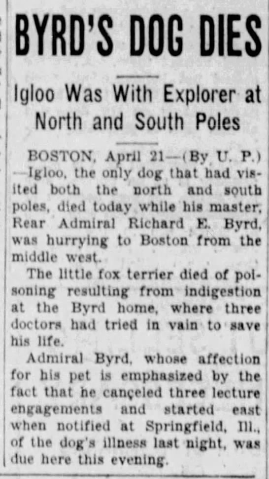 1931 obituary for Igloo, the "only dog that had visited both the north and south poles" - 