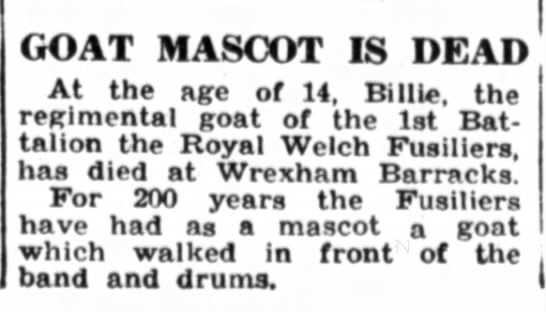 1944 obituary for Billie, the "regimental goat of the 1st Battalion of the Royal Welch Fusiliers" - 
