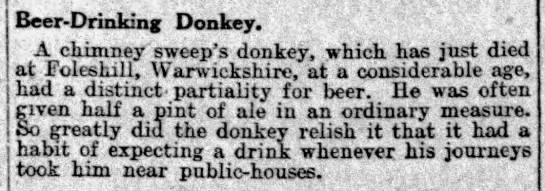 1911 obituary for a chimney sweep's "beer-drinking donkey" - 