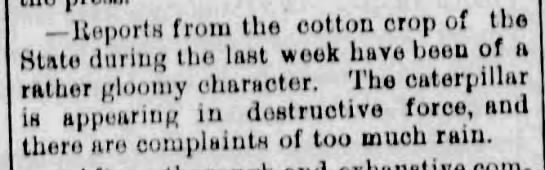 1876 cotton crop threatened by caterpillars - 