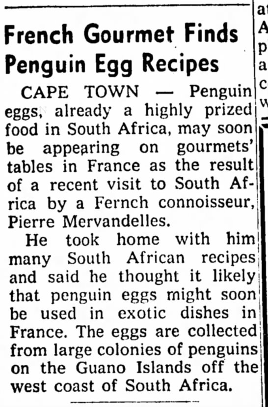 French Gourmet Finds Penguin Egg Recipes (1959) - 