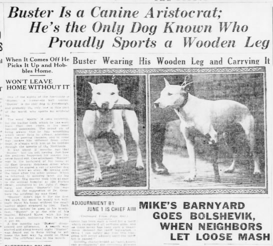 Buster and his artificial leg, 1922 - 