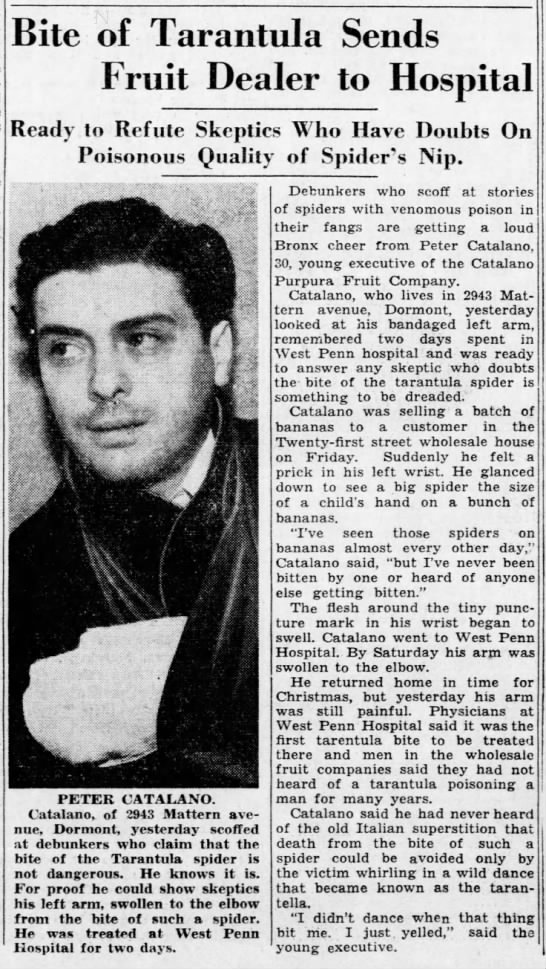 catalano. Pittsburgh Post-Gazette (Pittsburgh, Pennsylvania)
27 Dec 1938, Tue
Page 11 - 