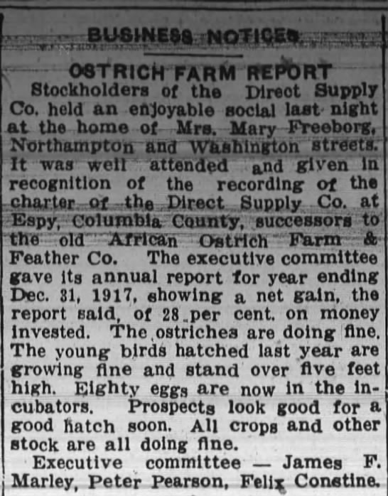 Ostrich farm 1917 report - 
