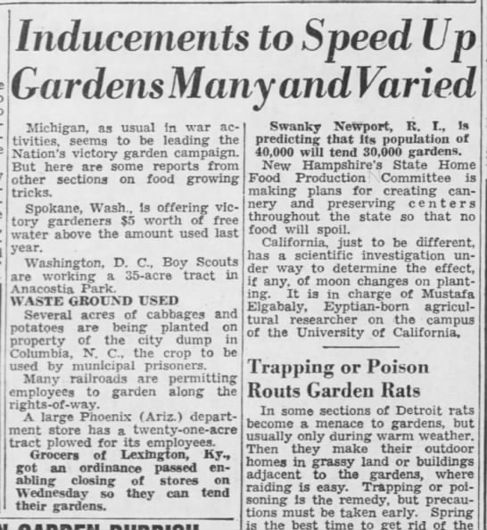 Different victory garden efforts by cities, 1943 - 