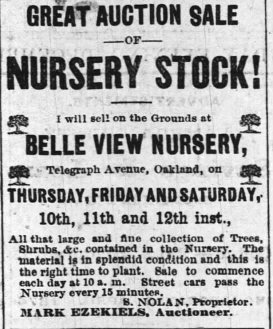 auction of Belle View Nursery stock - 