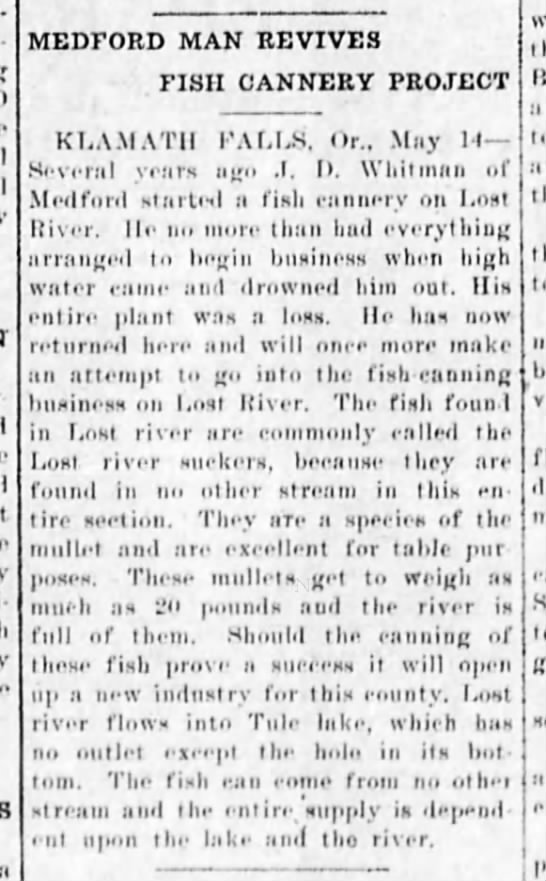 Fish Cannery Revived 1908 - 