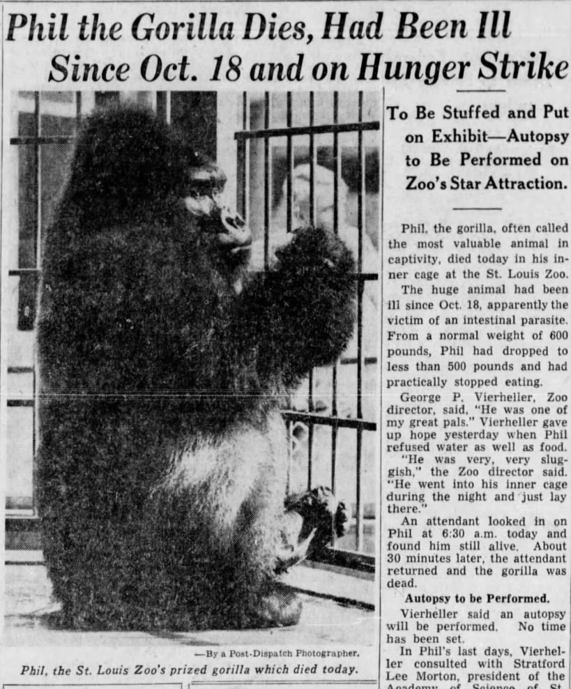Dec. 1, 1958: Phil the Gorilla dies after a hunger strike