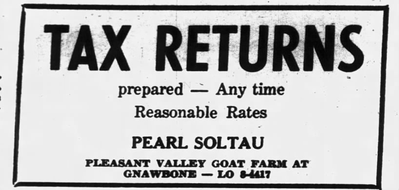 Tax Returns Pearl Soltau ad