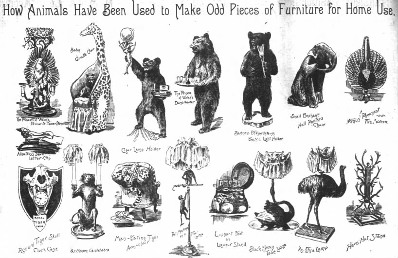 Animal furniture