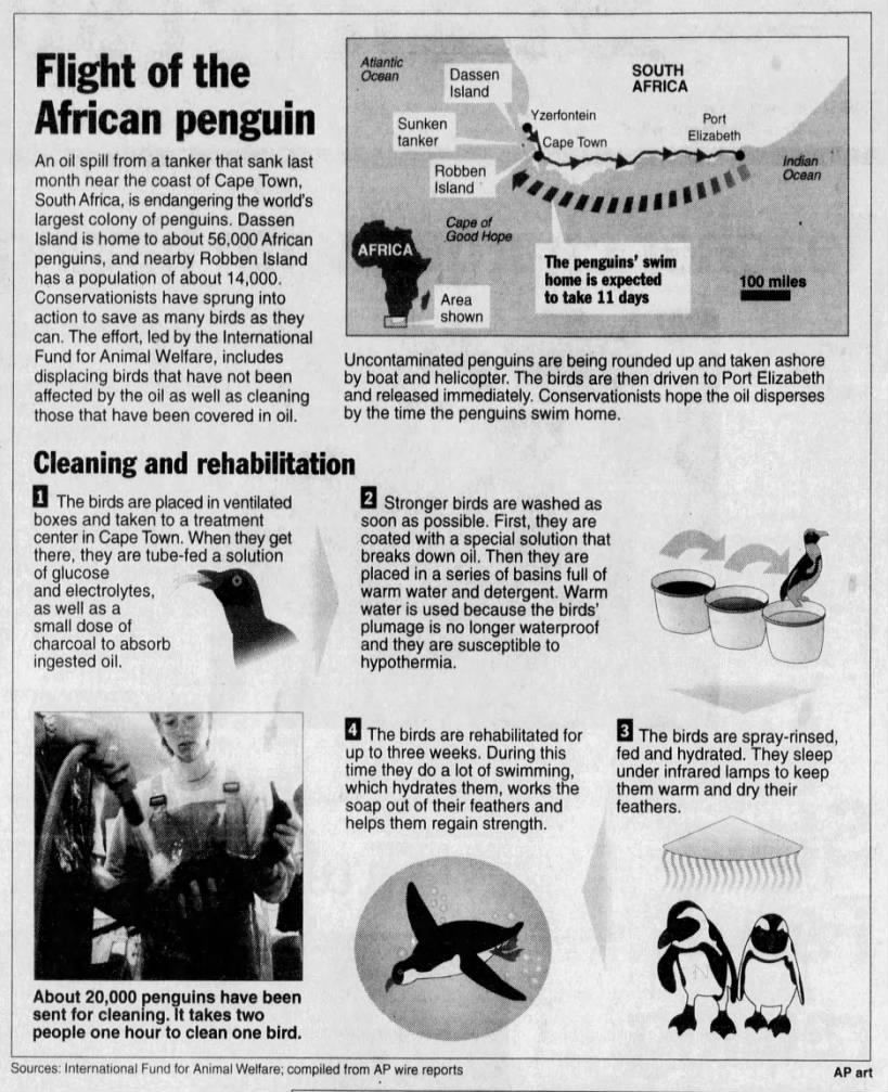 Flight of the African penguin (2000)