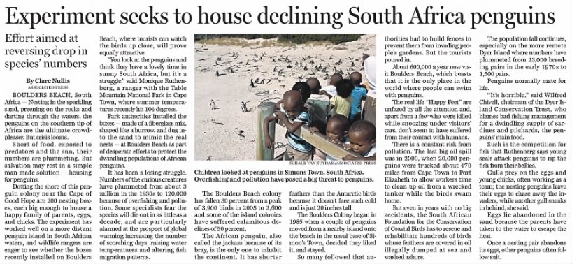 Experiments seek to house declining South African penguins (2009)
