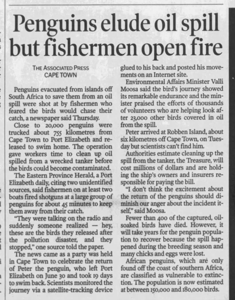 Penguins elude oil spill but fishermen open fire, South Africa (2000)