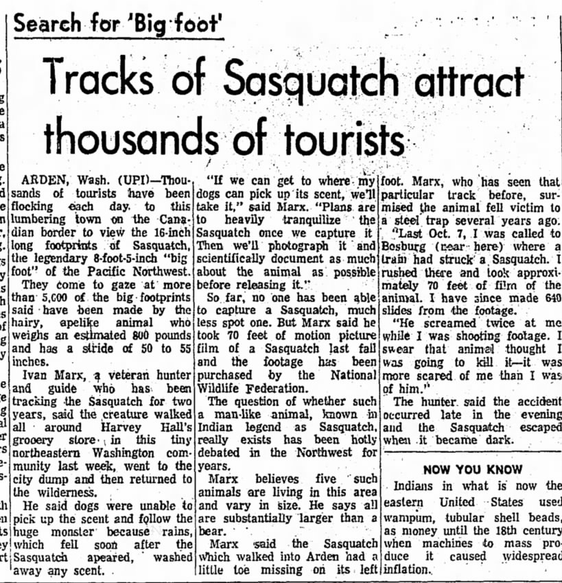 Sasquatch tracks attract tourists.
